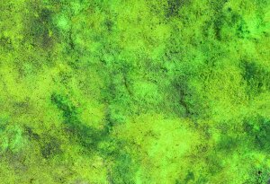 Tabletop Gaming Mat 44x30 in (112x76 cm): Grass Plain