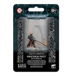 ADEPTA SORORITAS: MINISTORUM-PRIESTERIN MIT VINDICTOR