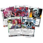 Marvel Champions: Das Kartenspiel - Magneto (DE)