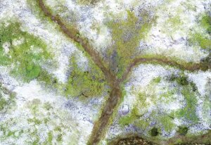 Tabletop Gaming Mat 44x30 in (112x76 cm): Snow Valley