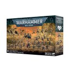 DRUKHARI: REALRAUM-PLÜNDERER