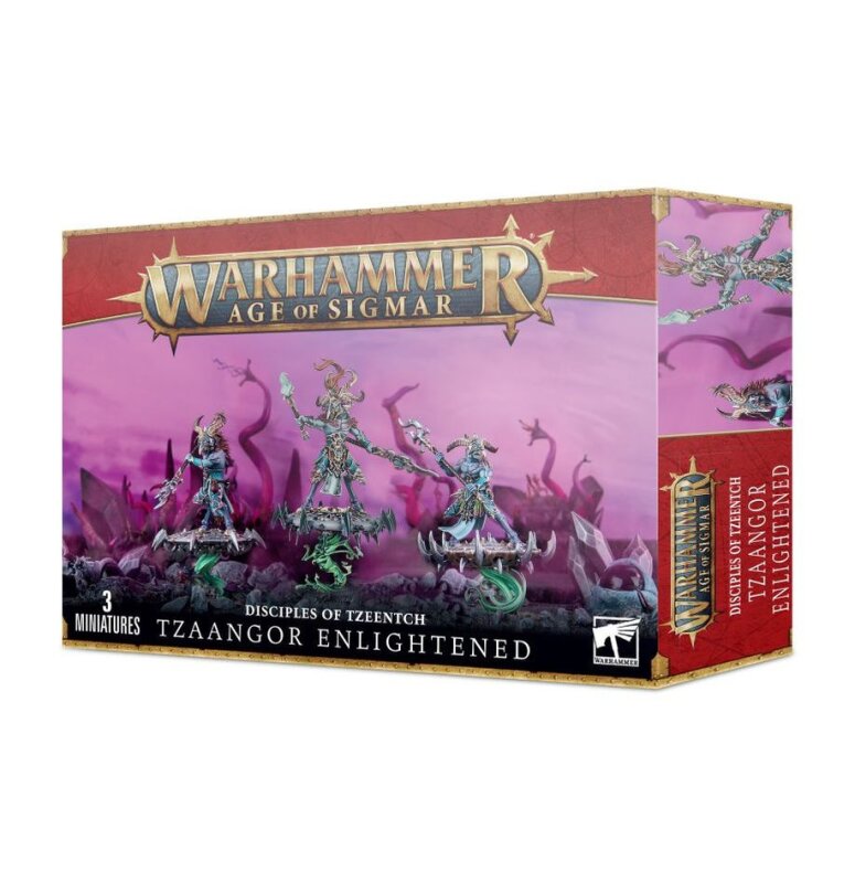 DISCIPLES OF TZEENTCH: TZAANGOR ENLIGHTENED / SKYFIRES