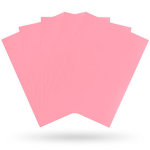 Dragon Shield: Standard Sleeves Matte - Pink (100)